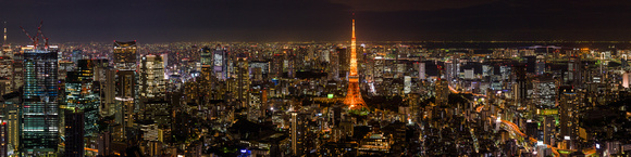 Tokyo Skyline